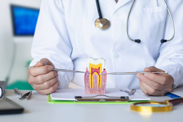 Best Emergency Denture Repair in Lake Of The Woods, IL
